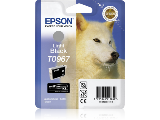 Epson Light Black R2880
